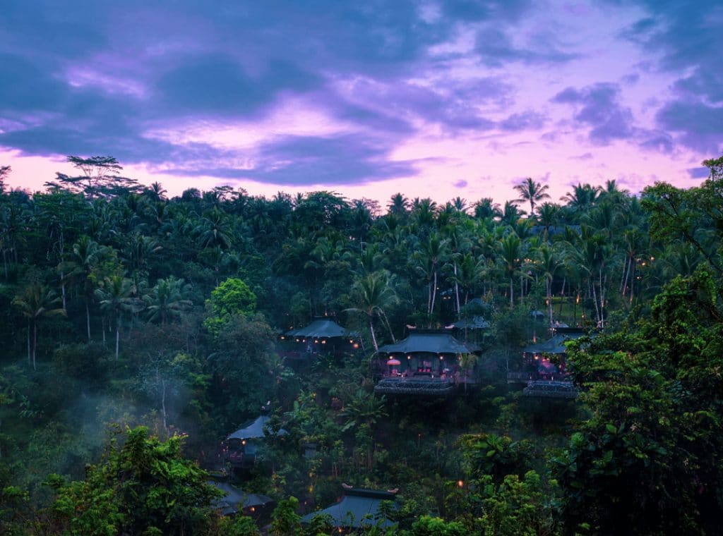 Cuca x Swig & Nibble at Capella, Ubud