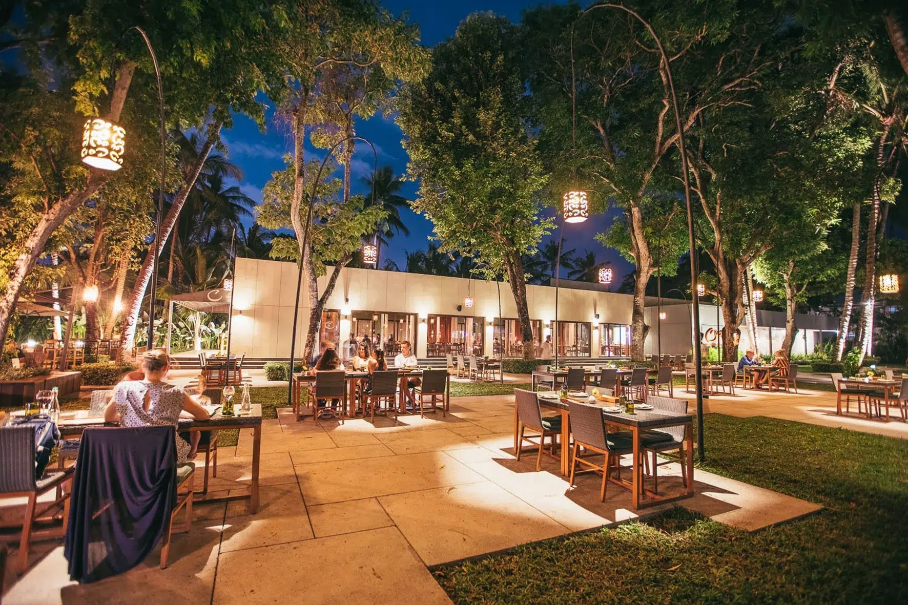 garden in the evening